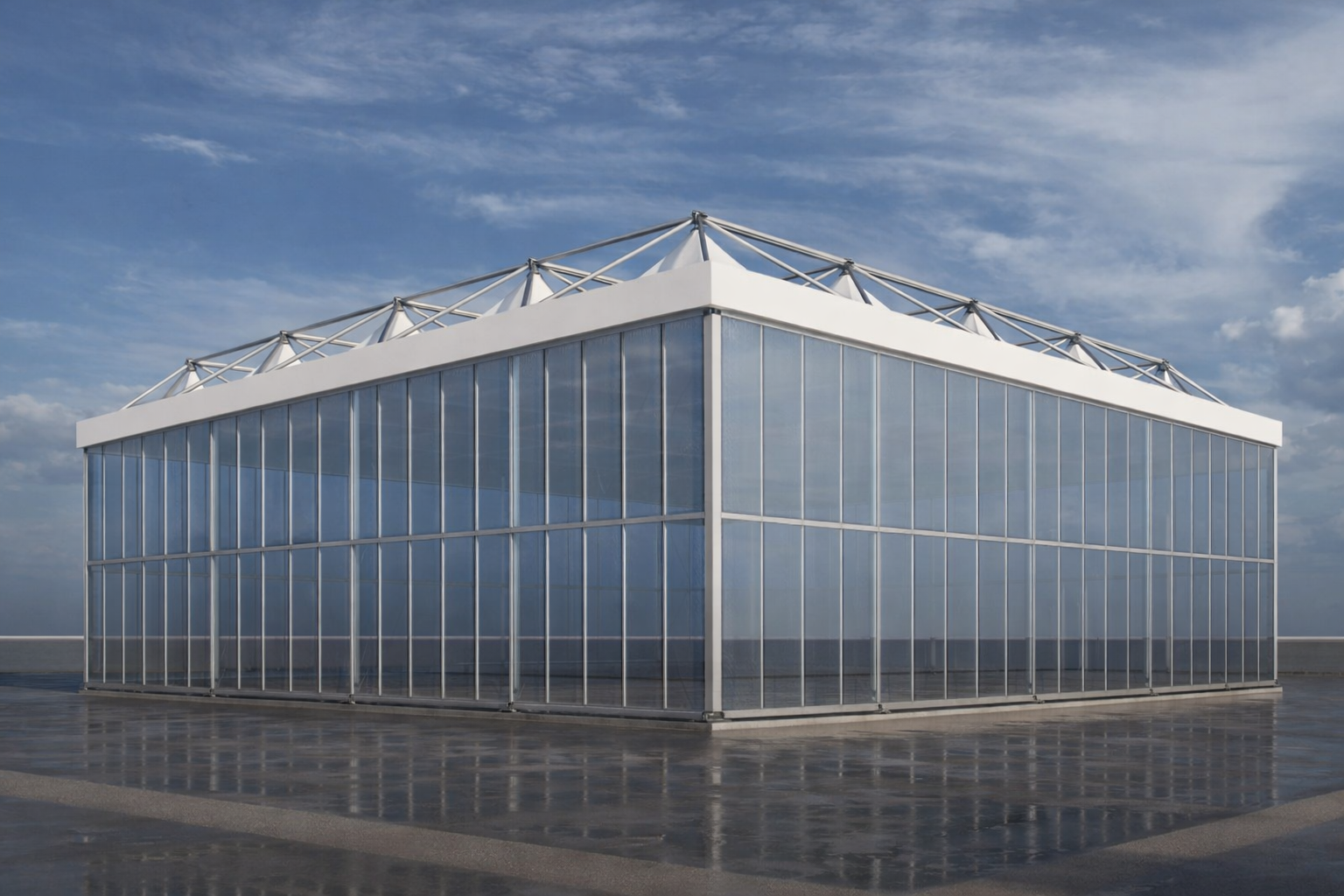 chatgpt image feb 13, 2026, 08 17 57 pm