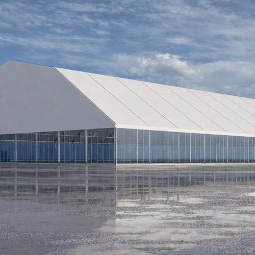 chatgpt image feb 13, 2026, 08 24 02 pm