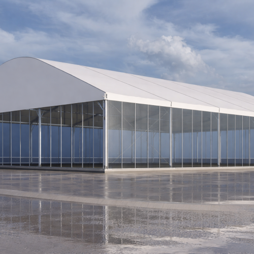 chatgpt image feb 13, 2026, 08 25 42 pm